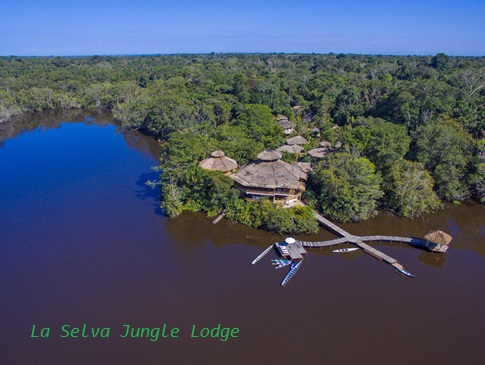 amazon jungle tours ecuador
